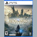 Hogwarts Legacy - PlayStation 5 Tekkas Store Games Tekkas_Store